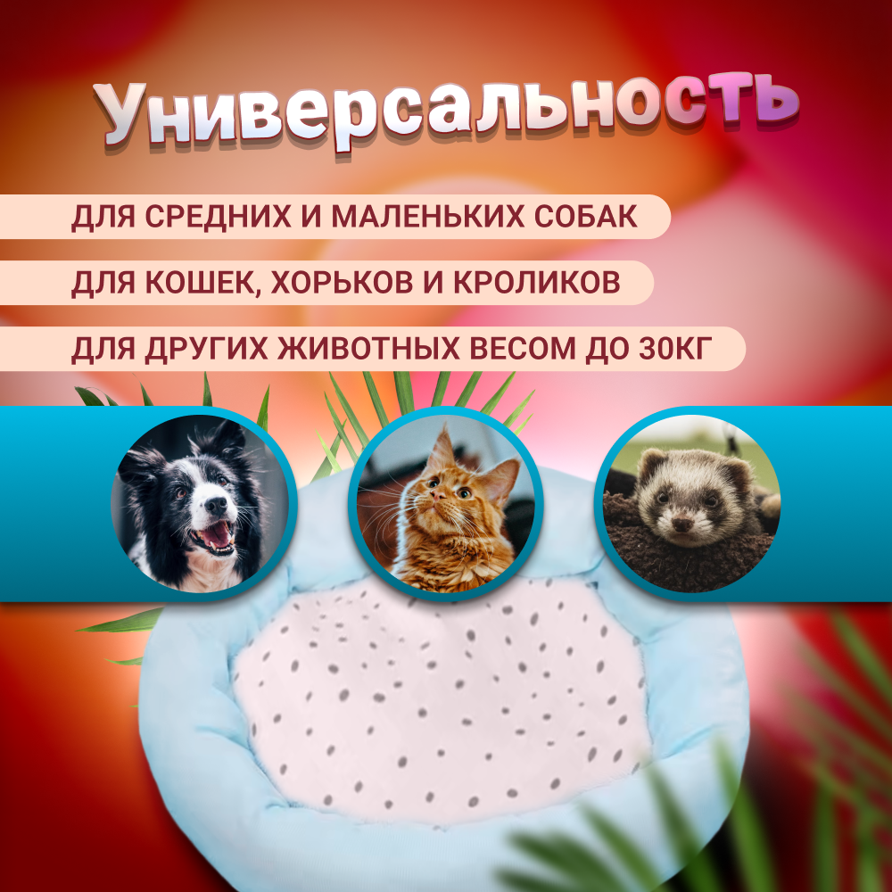 Лежанка для собак и кошек 65*65*12см - фото 5