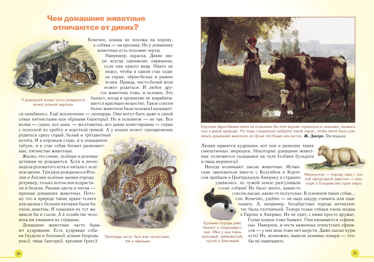 Книга Белый город Домашние животные - фото 5