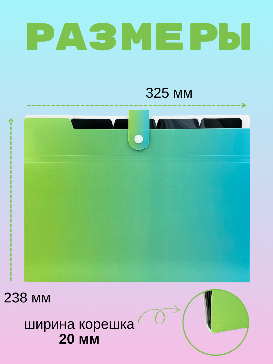 Папка-органайзер AXLER с разделителями А4 - фото 2