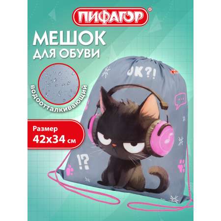 Мешок для обуви Пифагор меломан