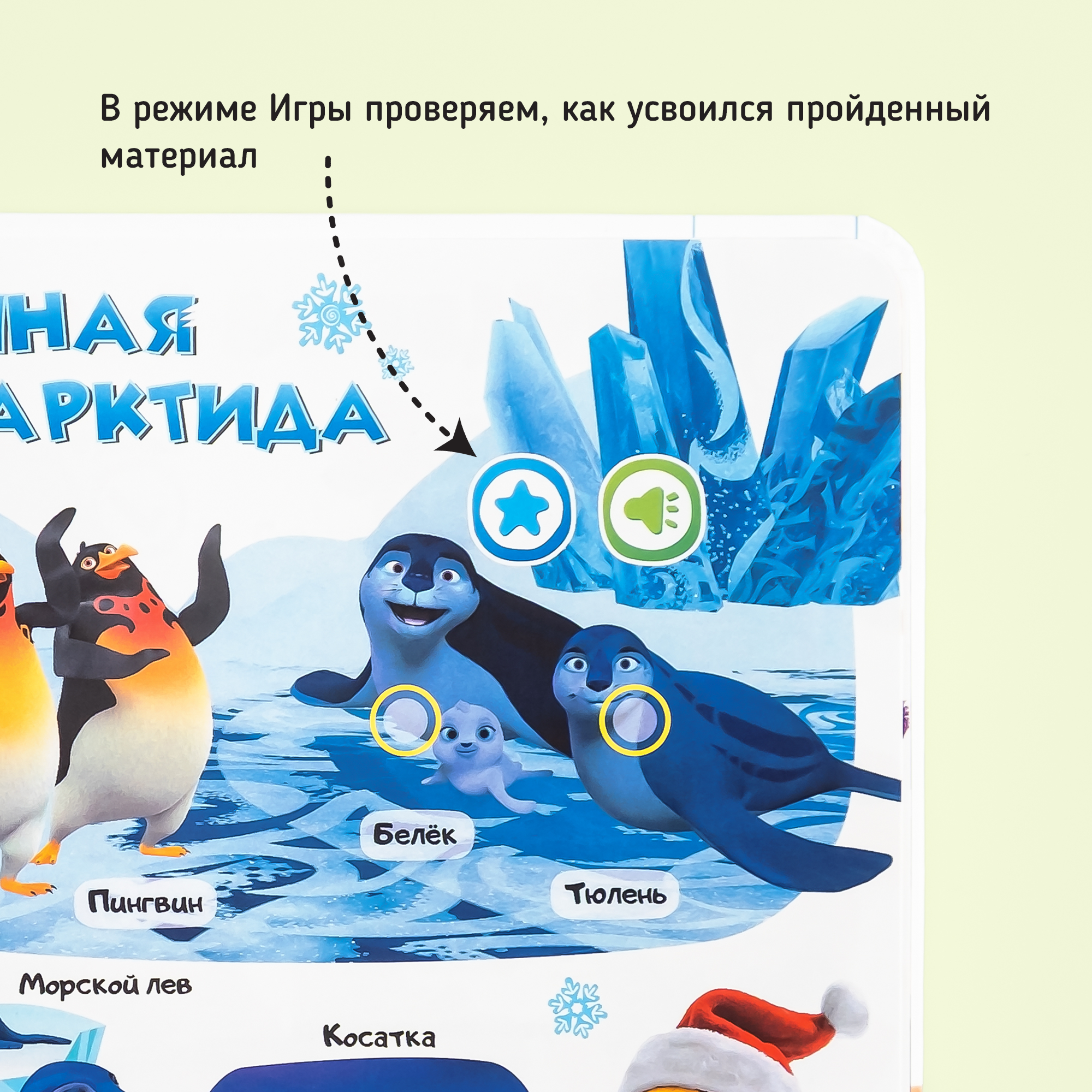 Говорящая книжка BertToys Нажималка маленькая "Учимся с мультяшками" - фото 13