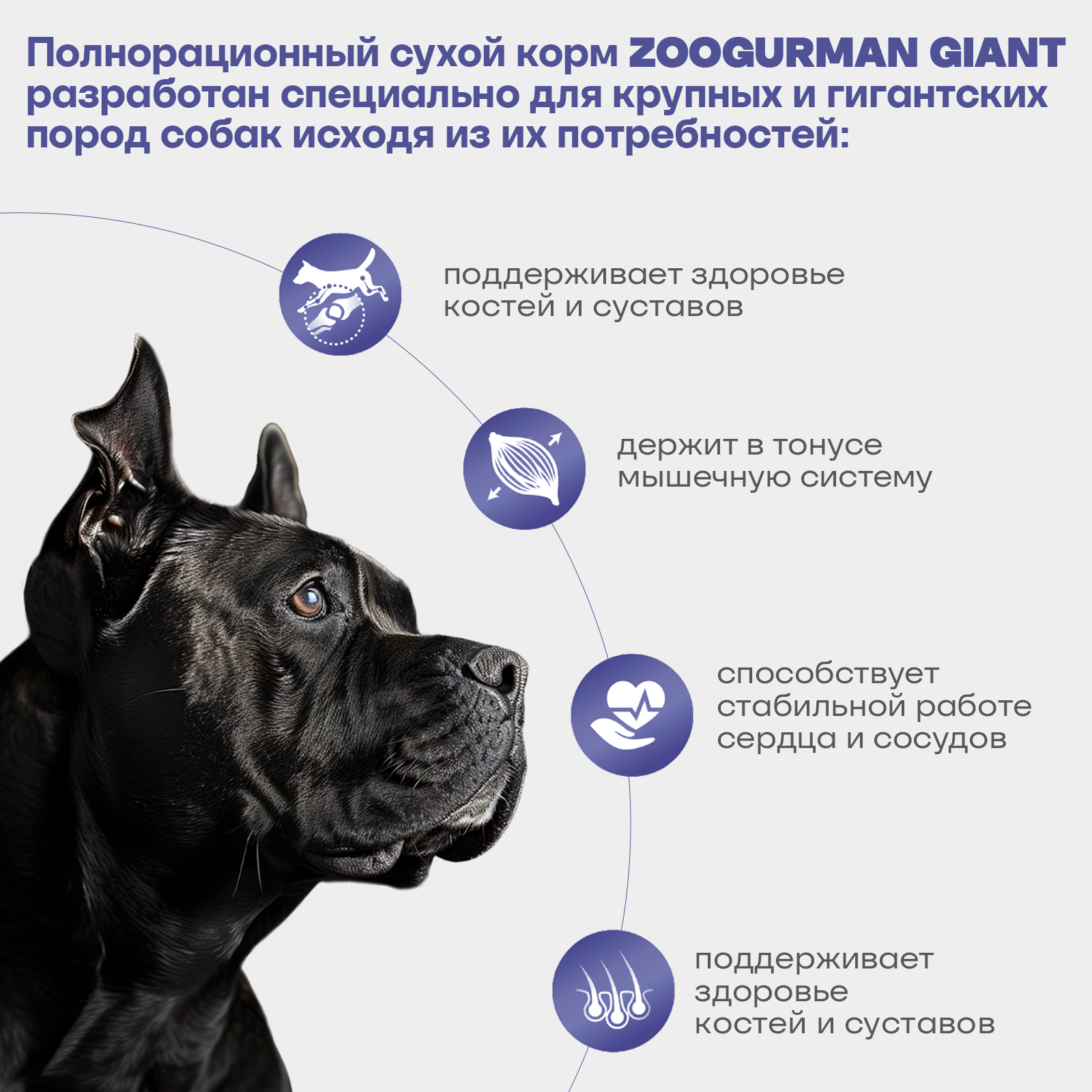 Корм сухой Зоогурман Giant, Говядина с рубцом/Beef 20 кг - фото 4