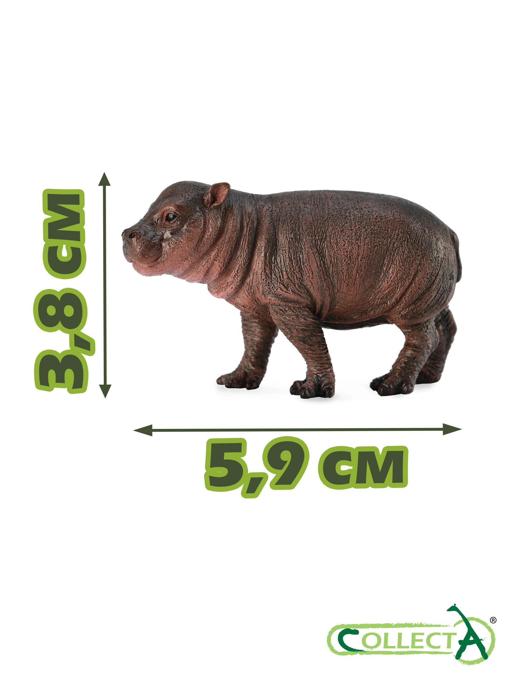 Фигурка Collecta Детёныш карликового бегемота - фото 2