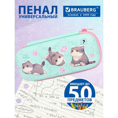 Пенал футляр Brauberg Милые коты