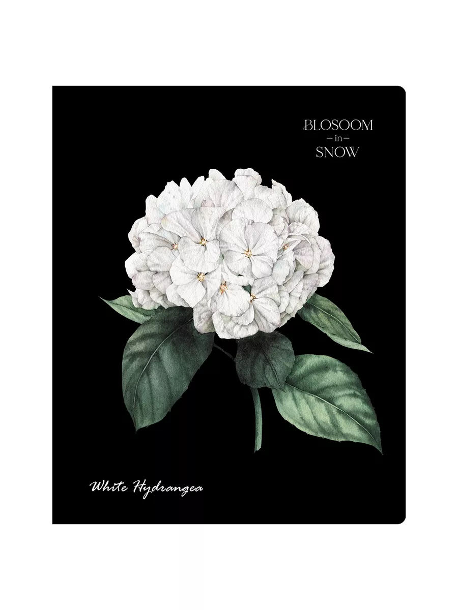 Тетрадь BG клетка 48 лист. 4 шт. - фото 5