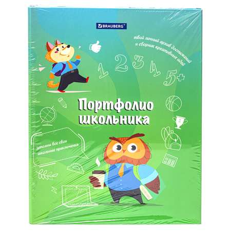 Папка для портфолио Brauberg школьника А4 на кольцах