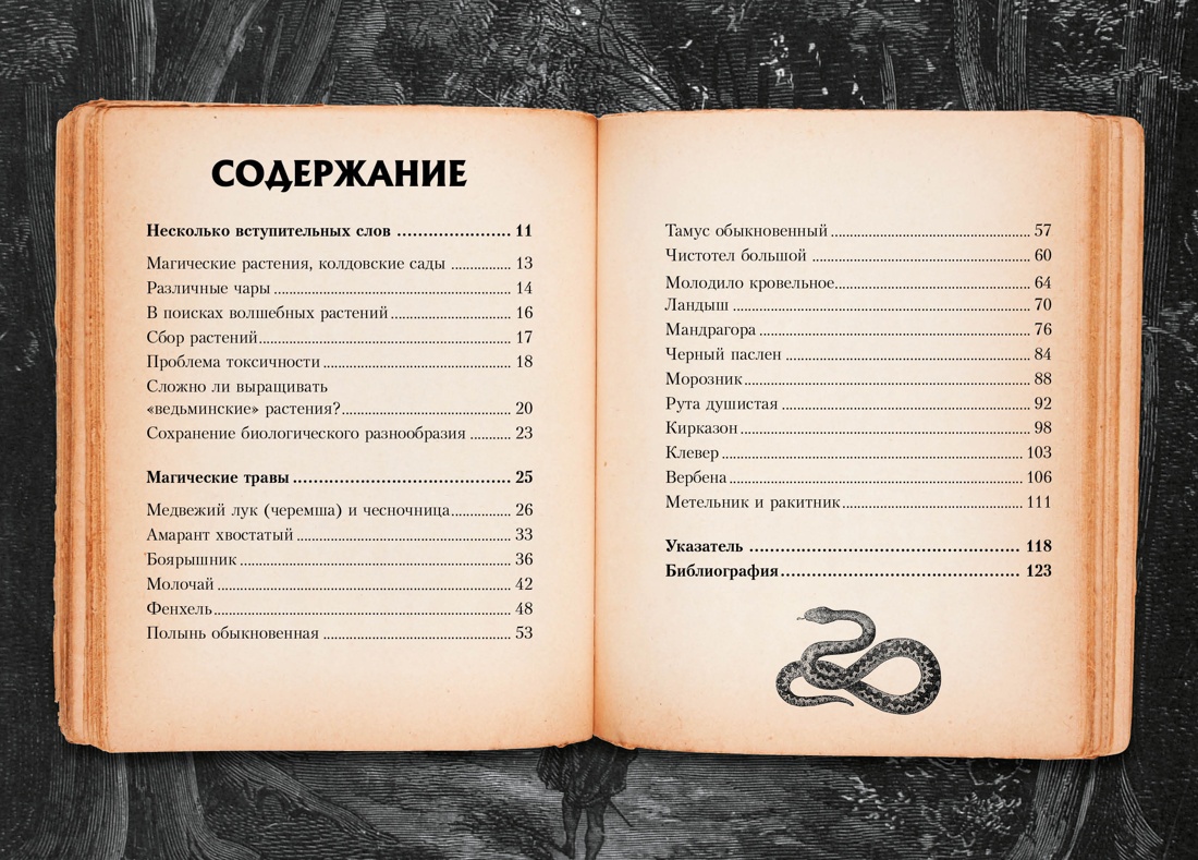 Книга КОЛИБРИ Лаис Э. Маленький гримуар ведьмы. Зелья и волшебные травы - фото 5