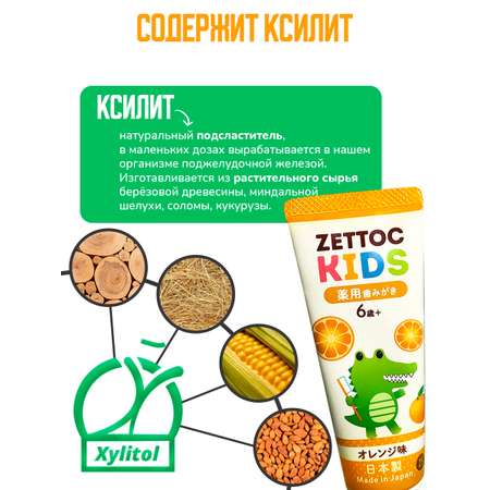 Зубная паста Nippon Zettoc