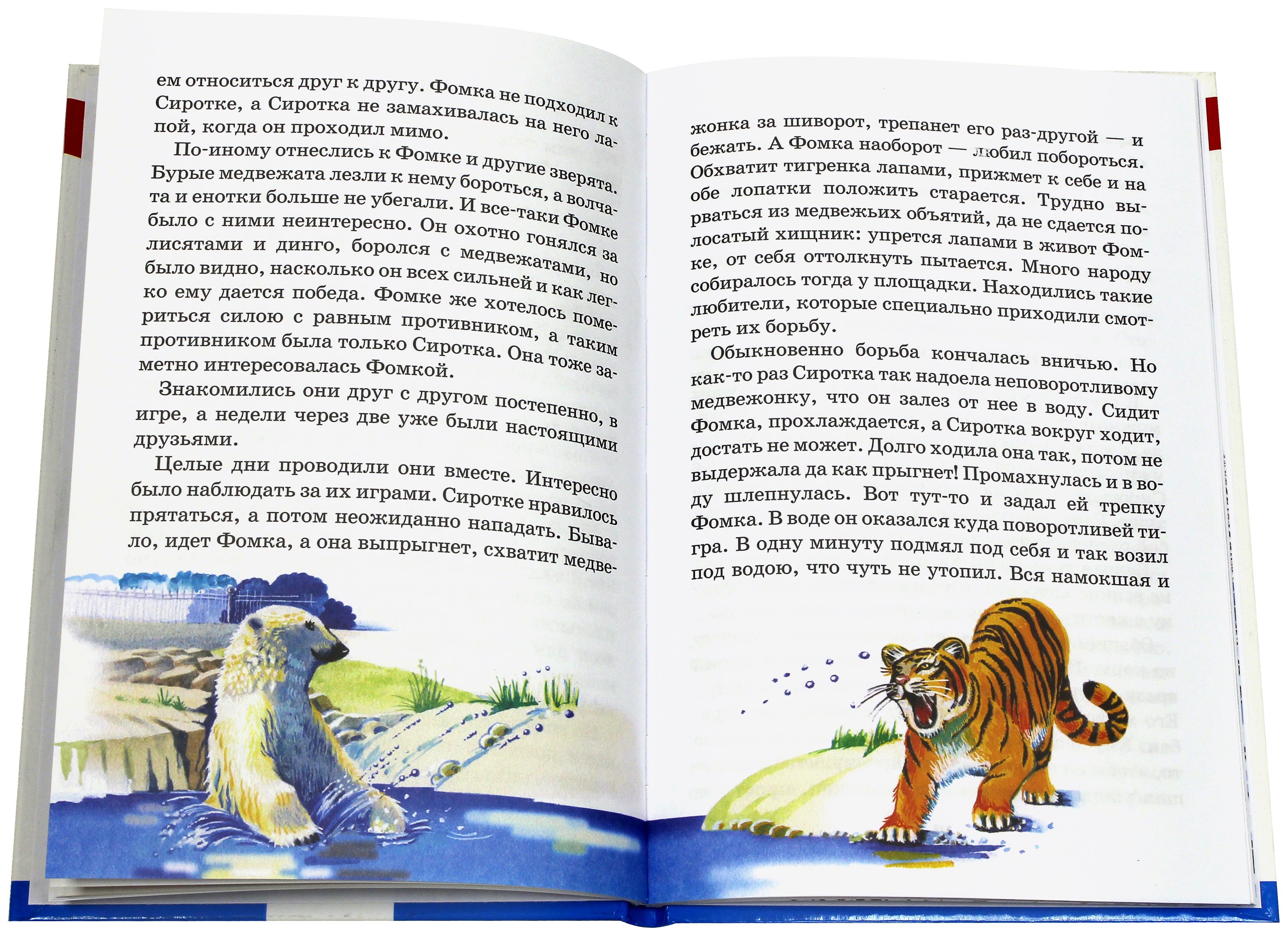 Книга СТРЕКОЗА Фомка - белый медвежонок - фото 5