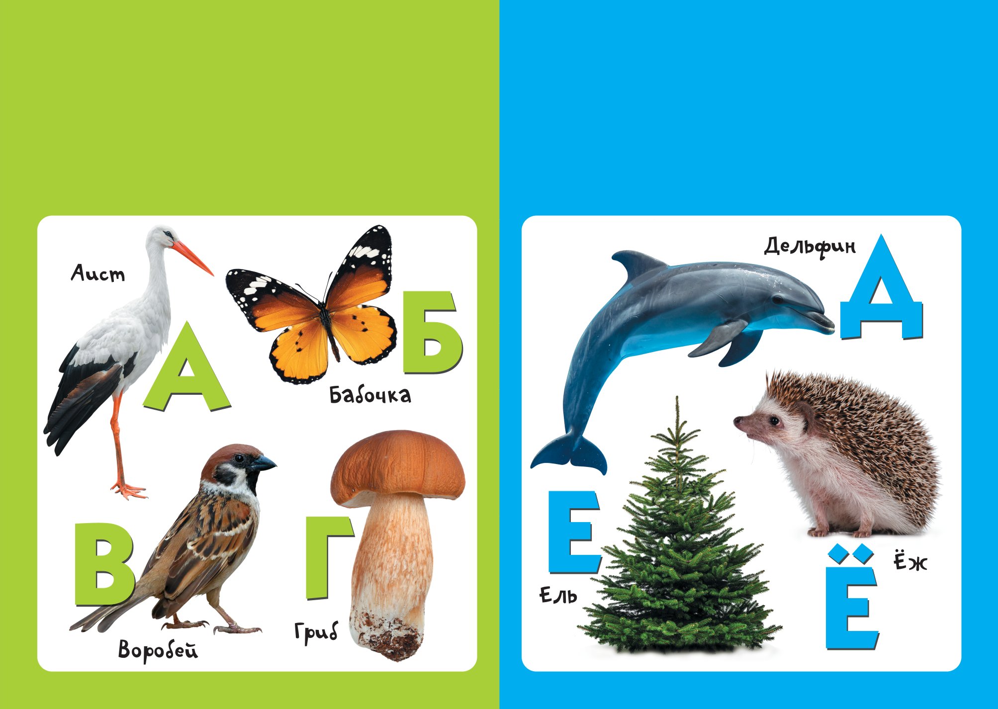 Книга АСТ Мягкая книжка для малыша Буквы - фото 2