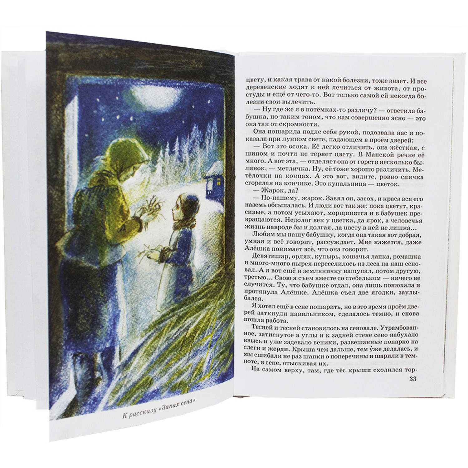 Книги Искатель Конь с розовой гривой и Рассказы и сказки В Бианки - фото 4