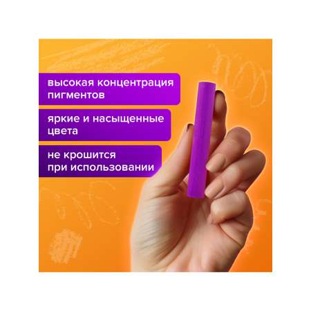 Пастель художественная сухая Brauberg 54 шт.