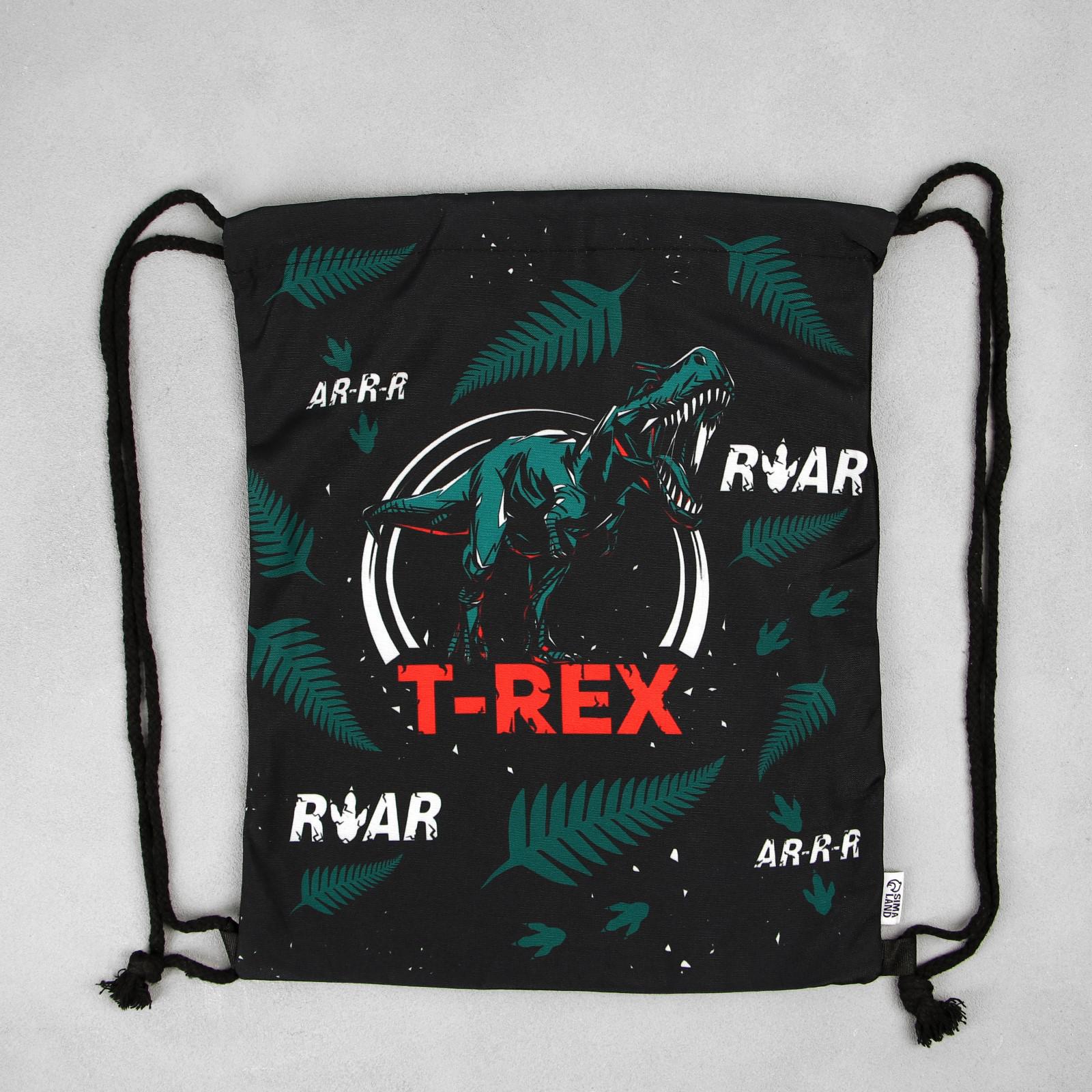 Мешок для обуви ArtFox T-REX - фото 7