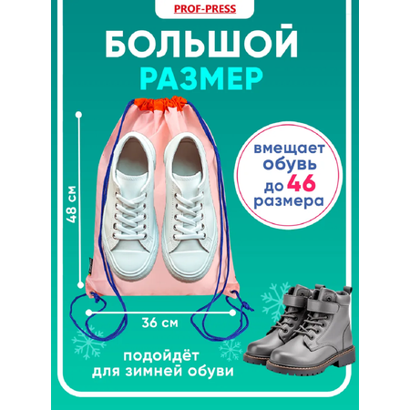 Мешок для обуви Prof-Press