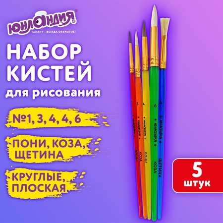 Кисть Юнландия 5 шт.