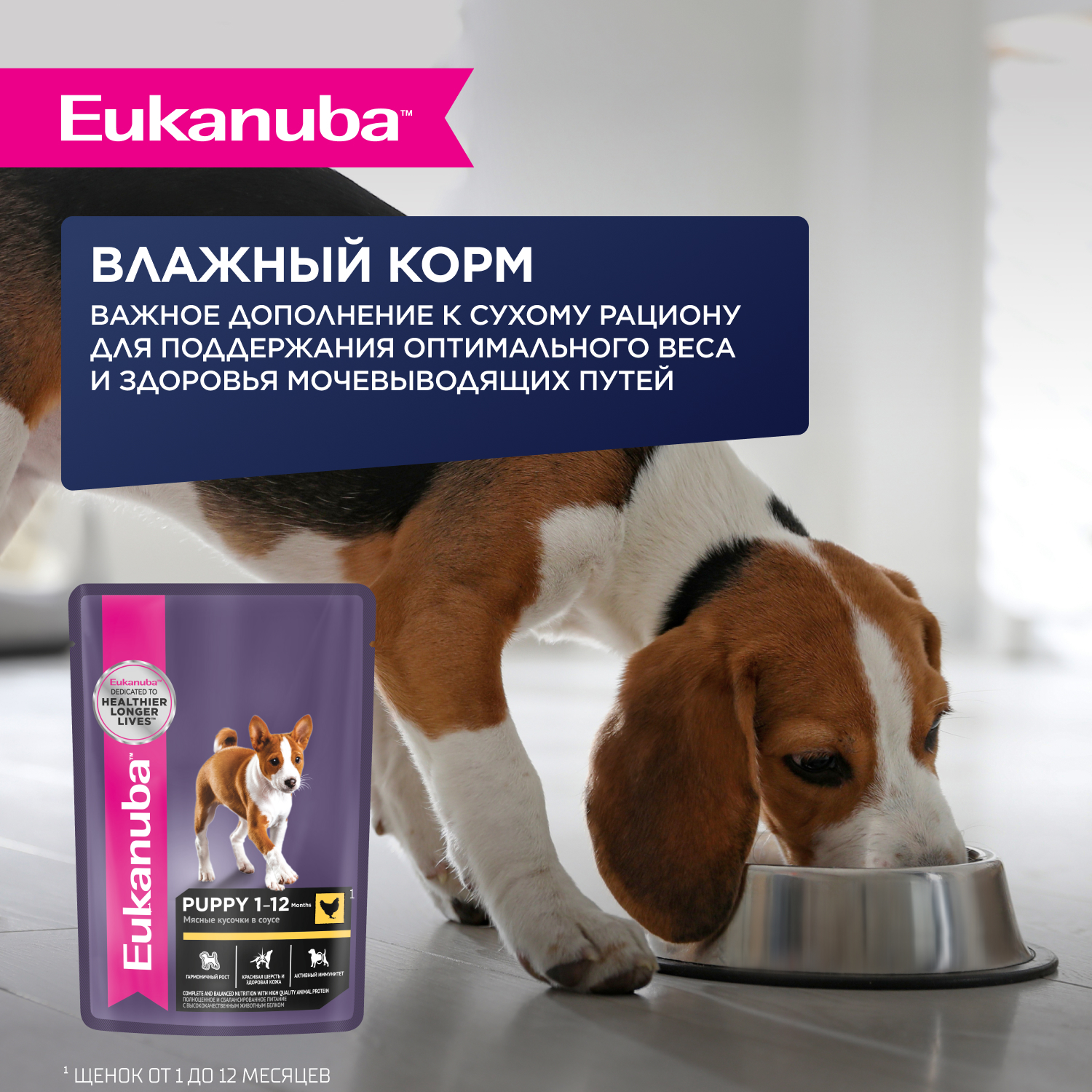 Корм сухой Eukanuba для щенков мелких и средних пород до 12 месяцев с ягненком 7кг - фото 7