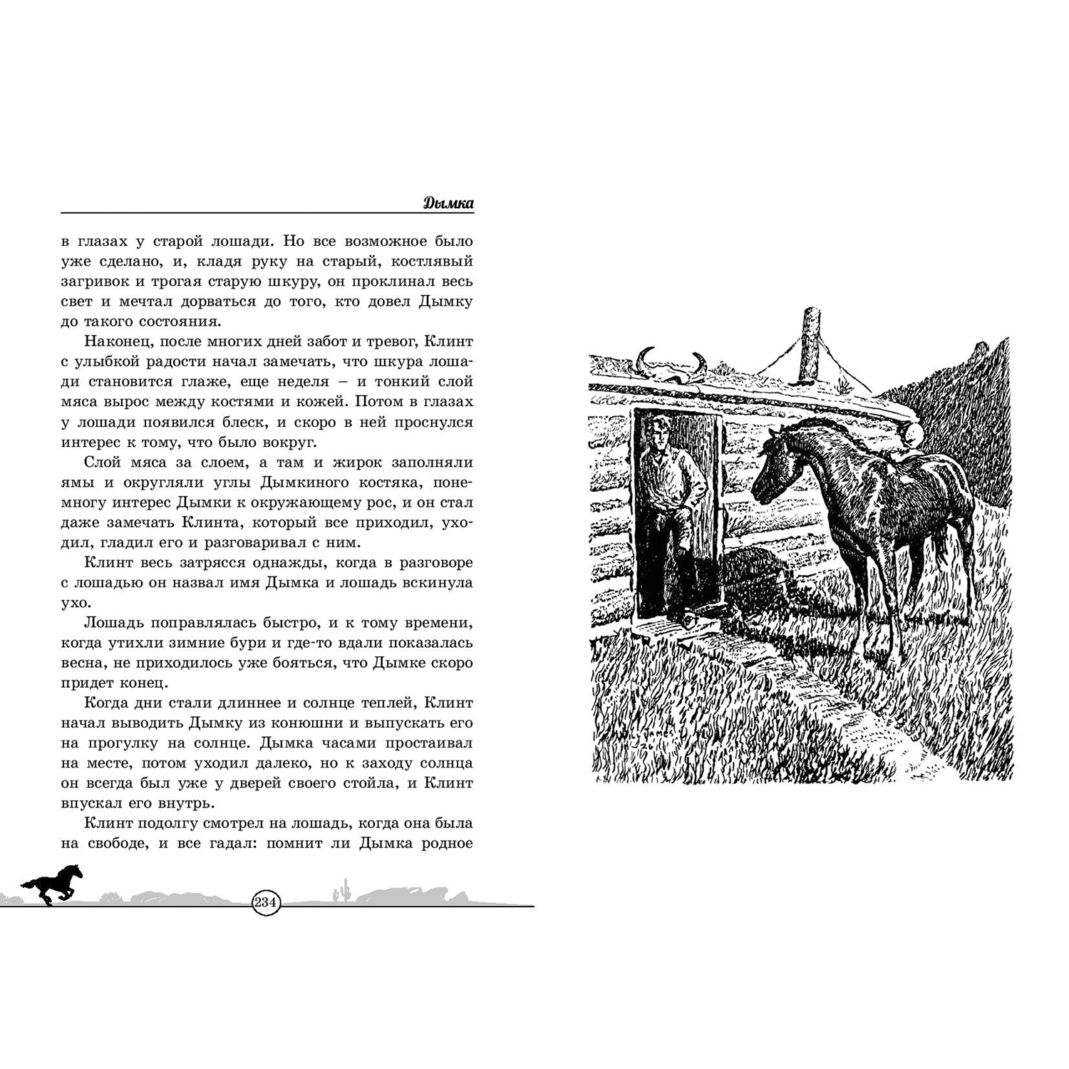 Книга ЭНАС-книга Дымка. Конь ковбоя - фото 5