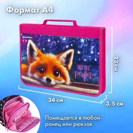 Папка для труда Brauberg А4