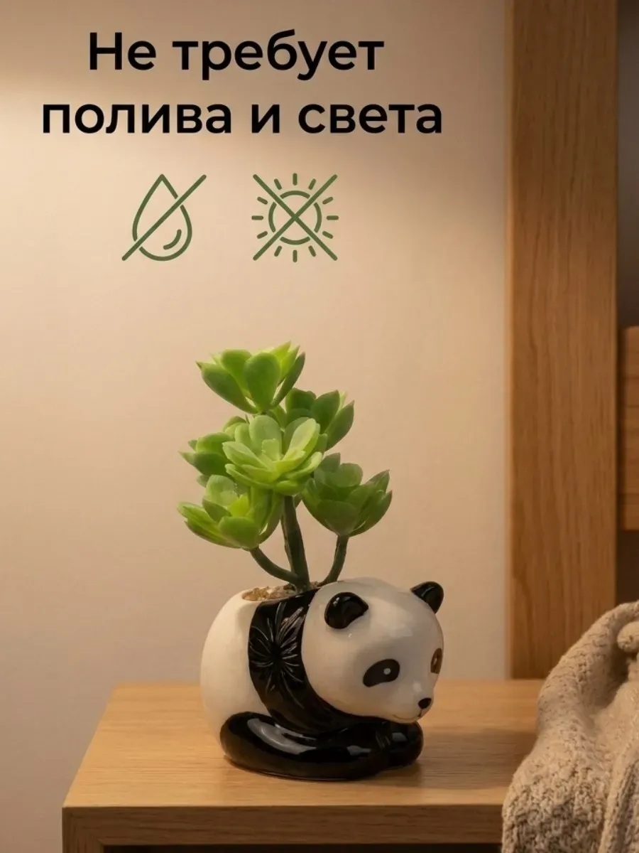 Искусственные цветы SOFANNA Панда суккулент - фото 3