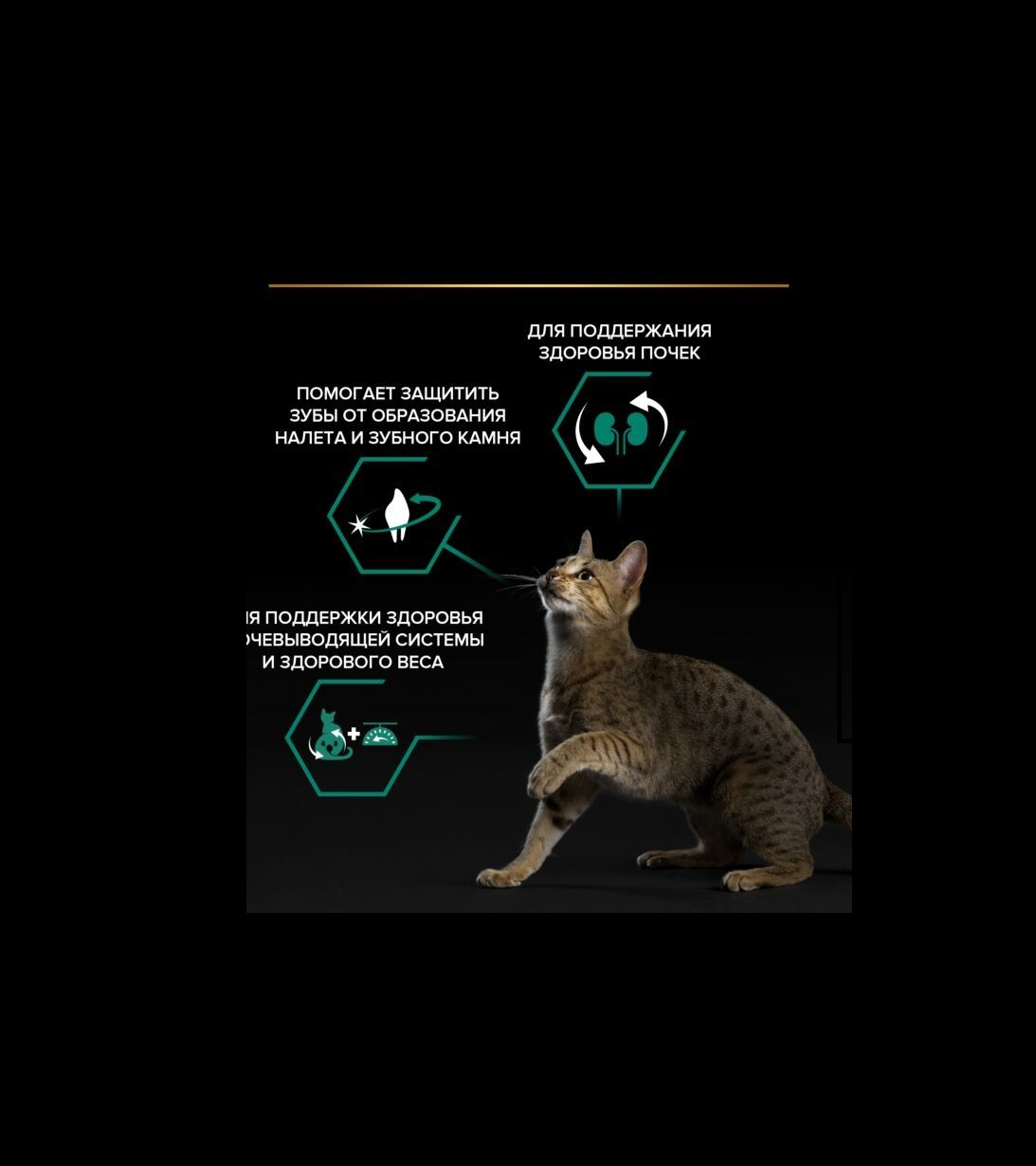 Сухой корм PRO PLAN OptiRenal Sterilised - фото 8