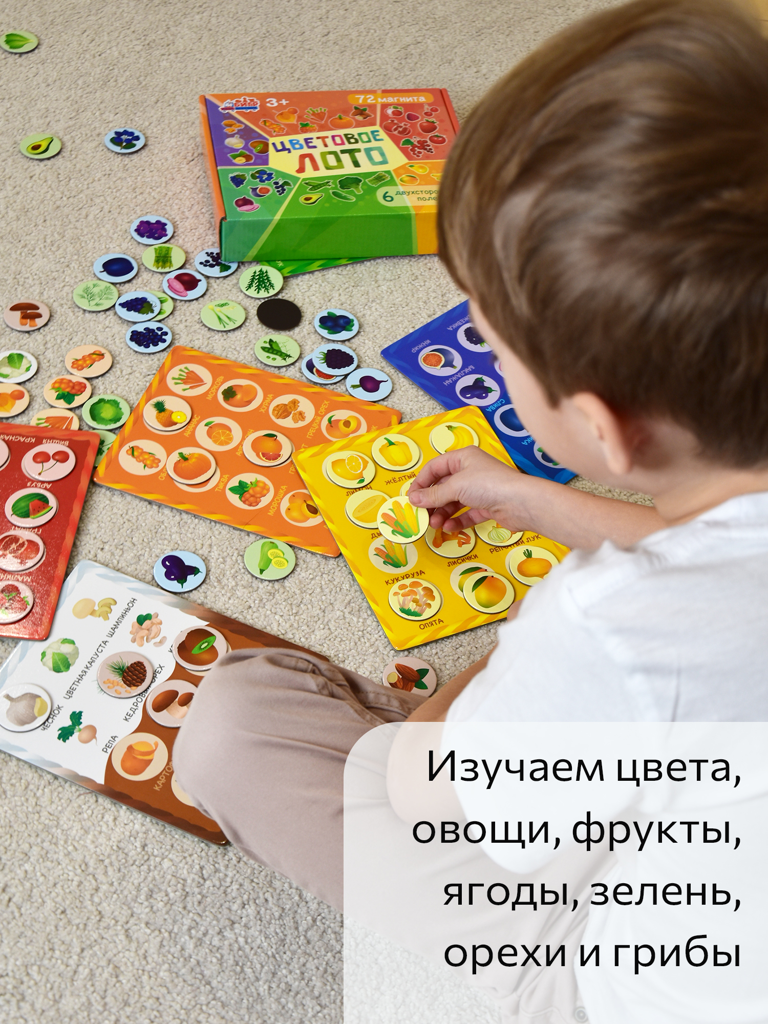 Настольная игра Бигр Лото цветовое магнитное УД85 - фото 6