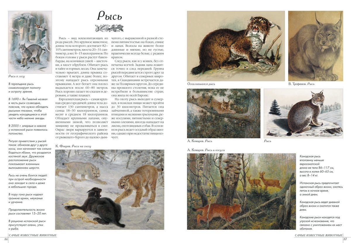 Книга Белый город Самые известные животные - фото 6