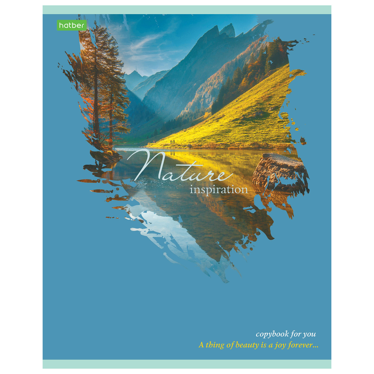 Общая тетрадь Hatber клетка 80 лист. в ассортименте - фото 2