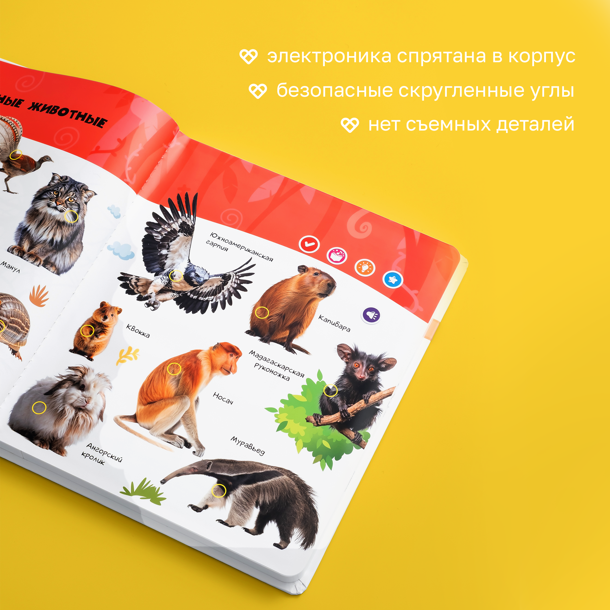 Говорящая книжка BertToys большая нажималка животные - фото 15