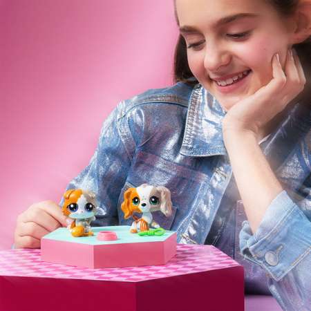 Игровой набор Littlest Pet Shop