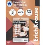 Наклейки ErichKrause Прима кошка 3 шт.