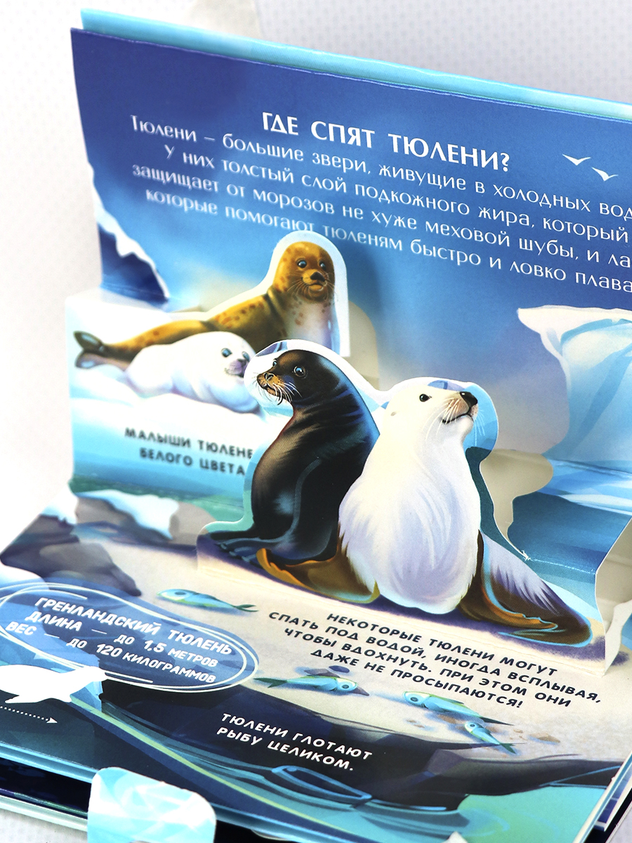 Набор книг Malamalama Коллекция карманных объемных энциклопедий о животных в сундучке - фото 17