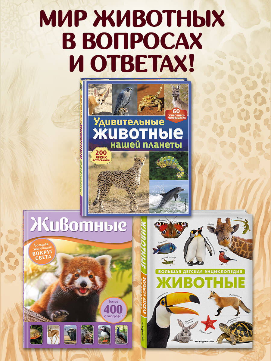 Книга Эксмо Удивительные животные нашей планеты - фото 7