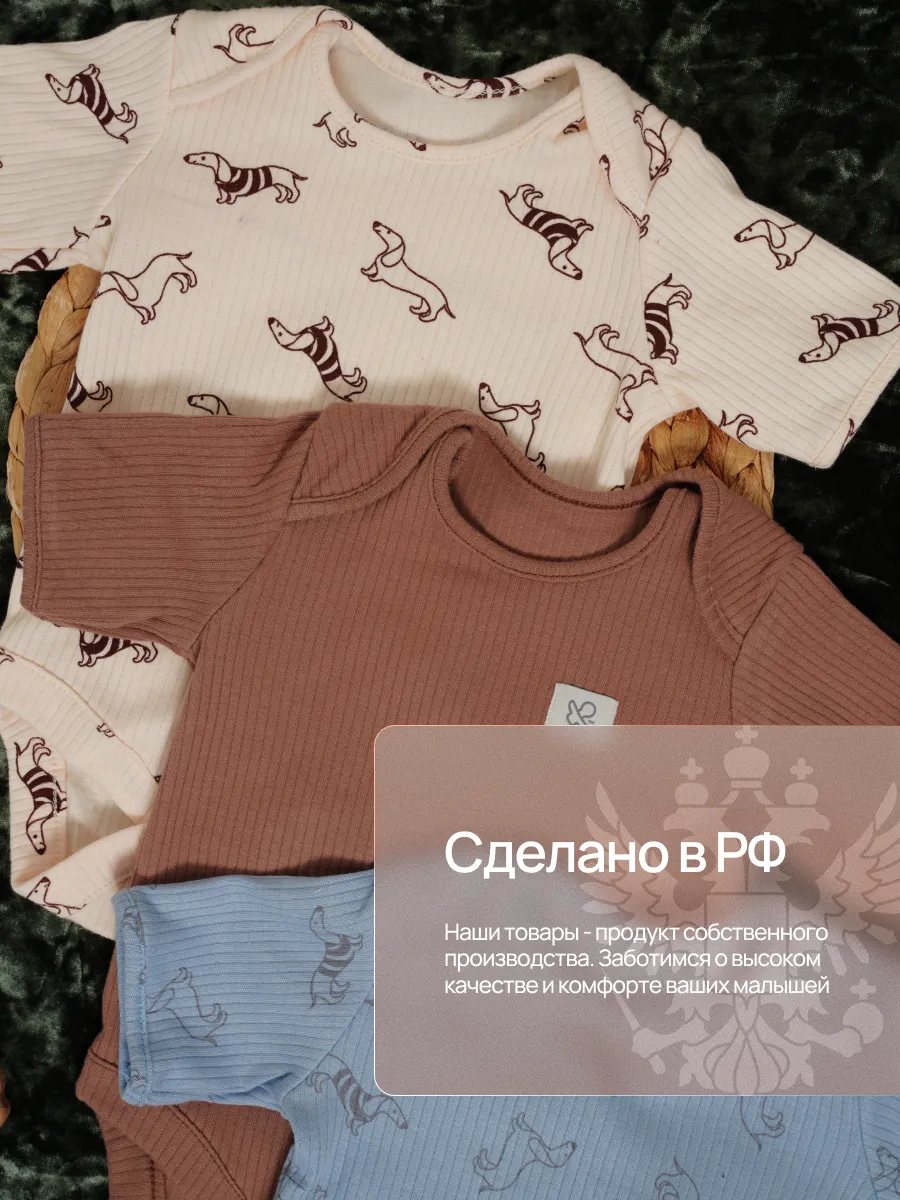 Боди 3 шт Супер Пупс нбр/3пр/бд/коррук/2026/таксы - фото 8