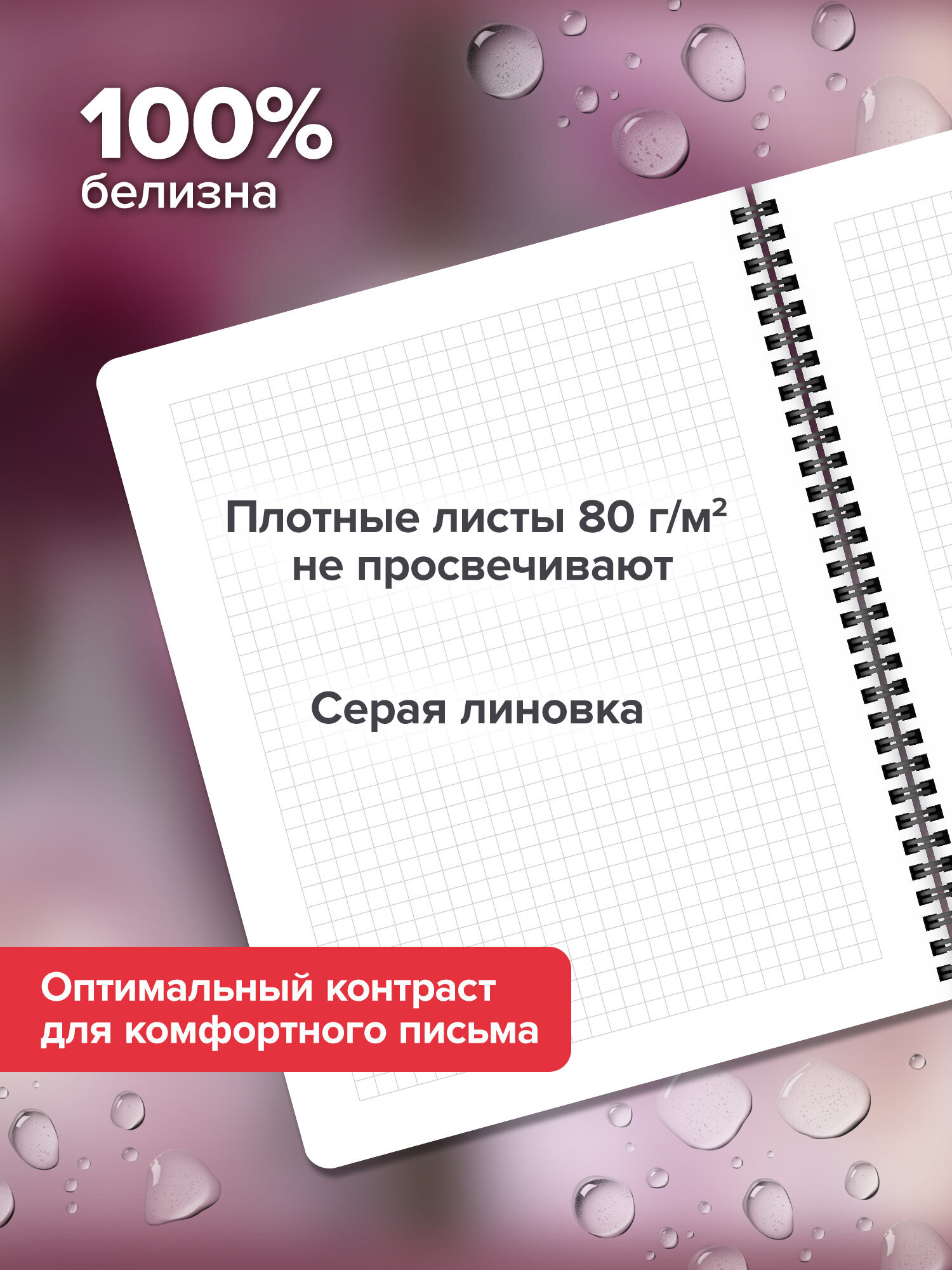 Тетрадь Brauberg клетка 48 лист. 4 шт. - фото 3