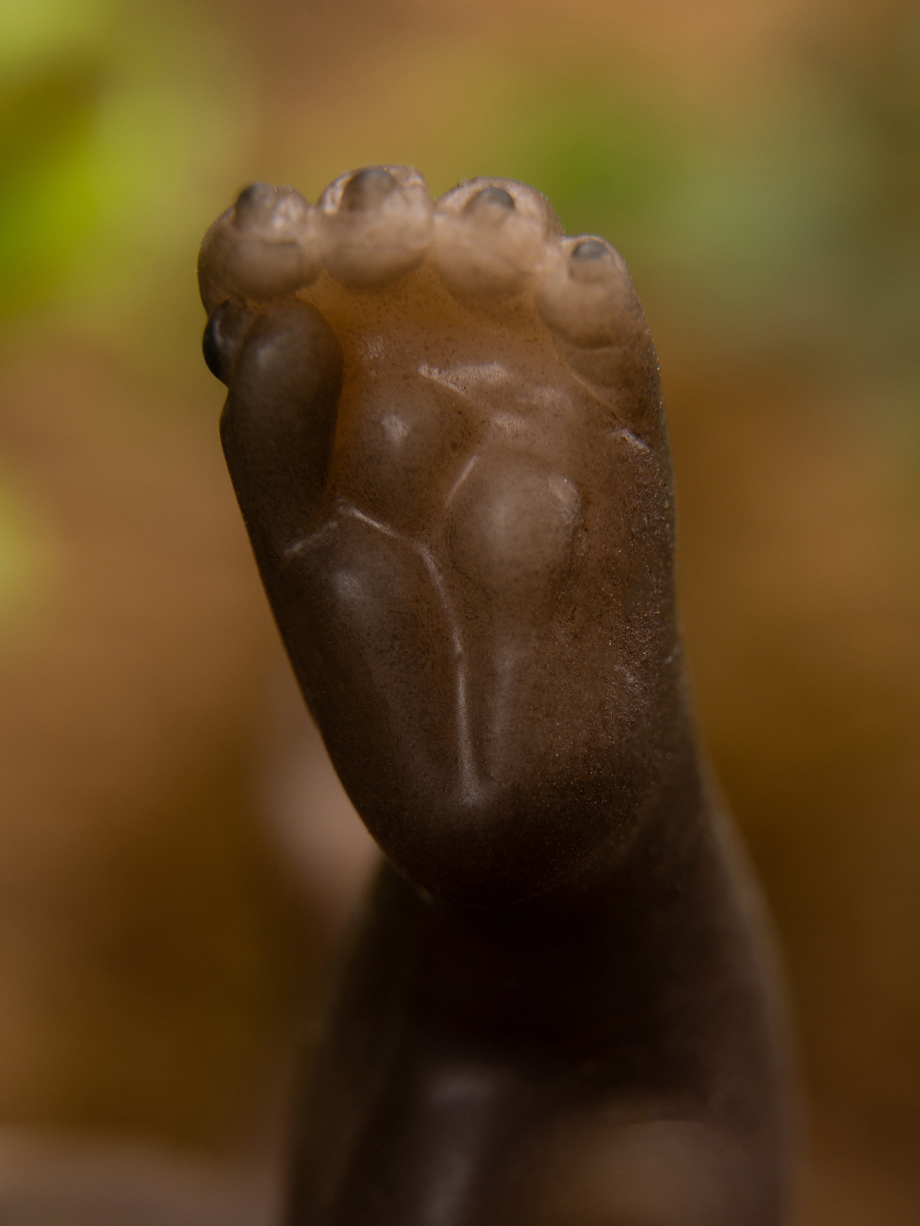 Кукла мини Magic Manufactory Magic Pets, выдра высота 15 см 4631175965922 - фото 24