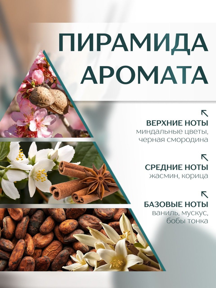 Диффузор с сухоцветами в Премиум тубусе Accents Almond Milk - фото 2