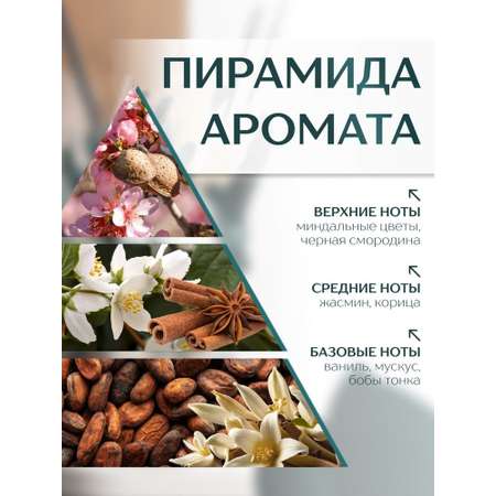 Диффузор с сухоцветами в Премиум тубусе Accents Almond Milk