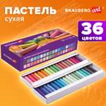 Пастель художественная сухая Brauberg 36 шт.