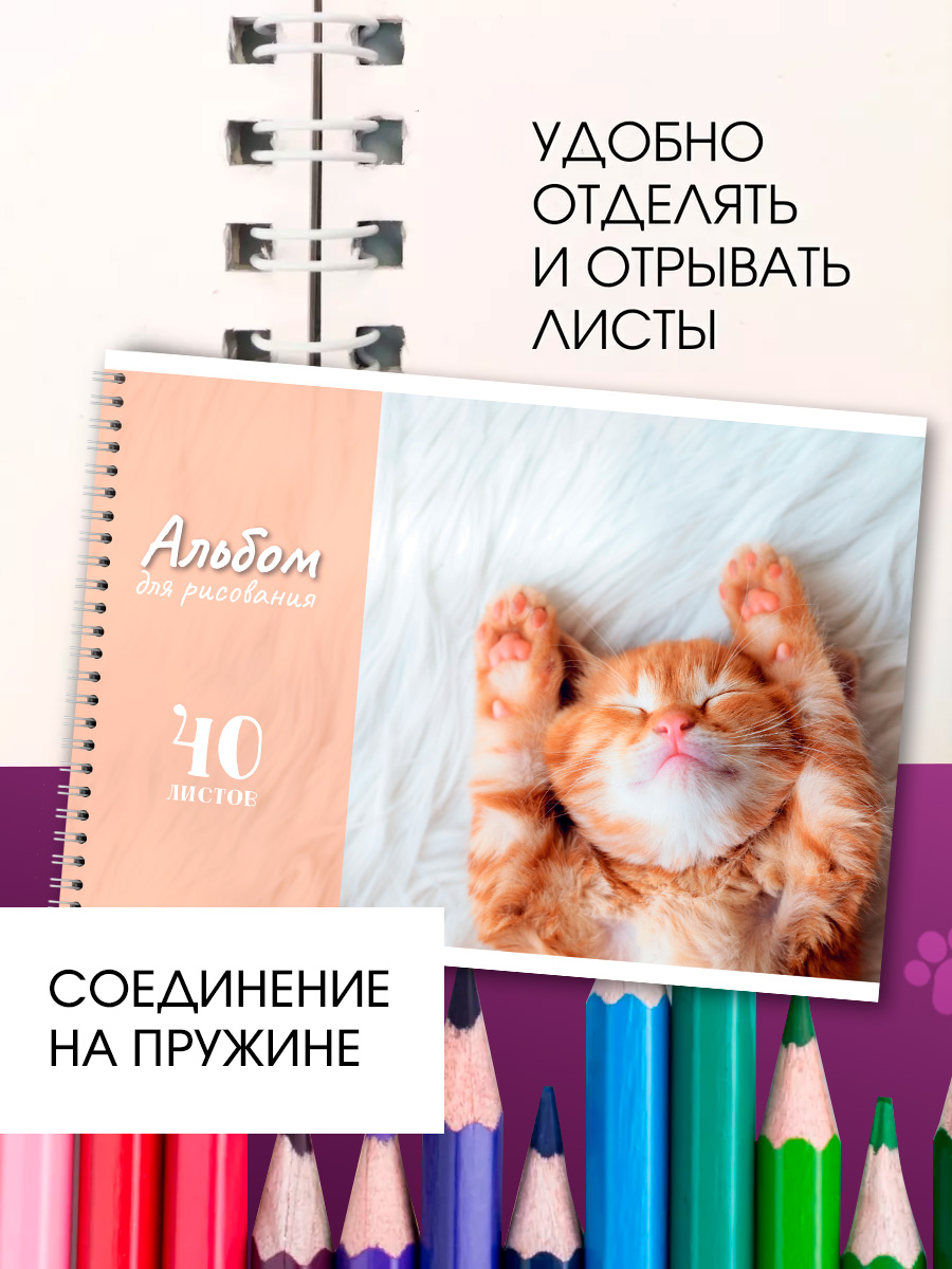 Альбом AXLER А4 40 лист. 4 шт. - фото 3