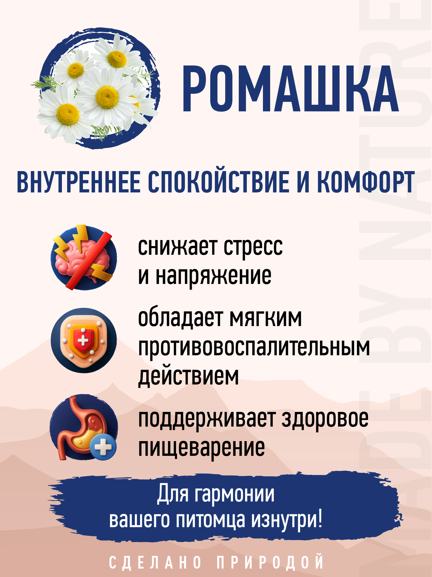 Корм для собак и щенков всех пород сухой Prime WILD беззерновой на ягнёнке 2кг - фото 11