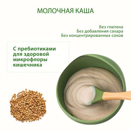 Каша молочная Hipp с пребиотиками гречка 250г с 4месяцев
