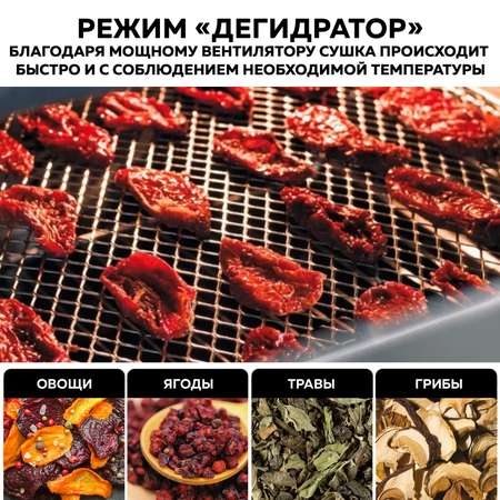 Мини-печь GFGRIL Электрическая GFAO-700 объемом 23 л с функцией аэрогриля 10 программ