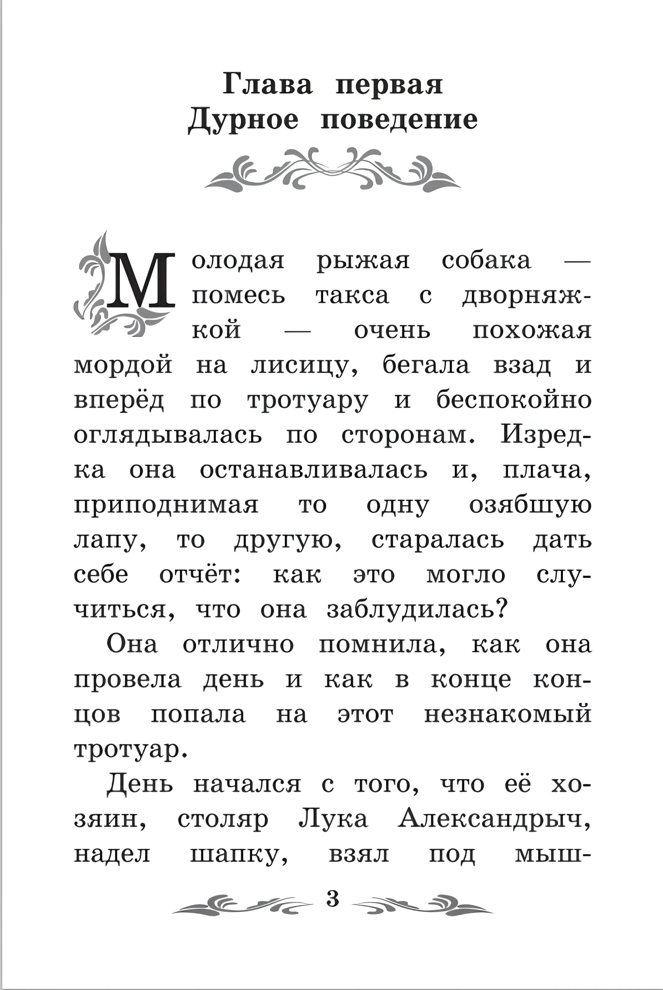Книга Феникс Каштанка - фото 10