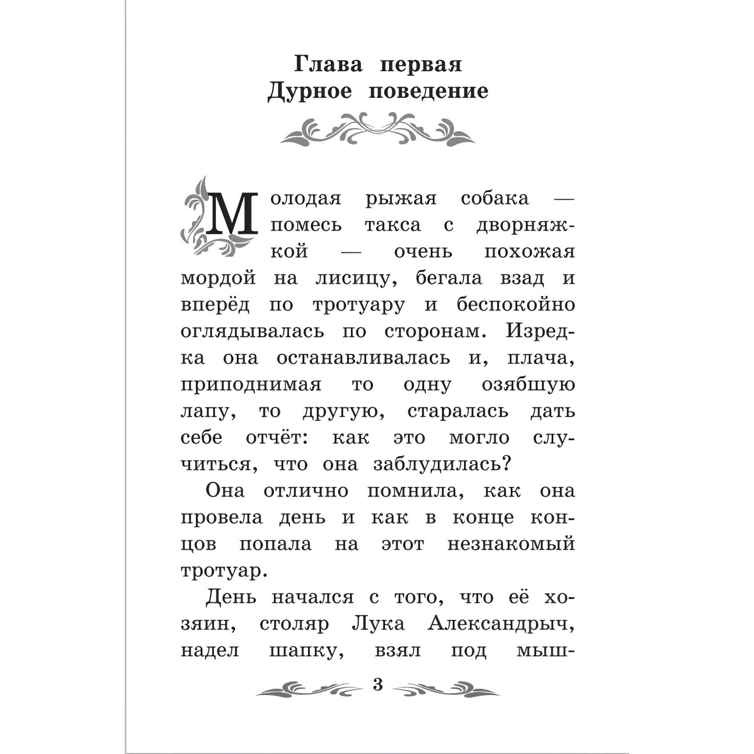 Книга Феникс Каштанка - фото 10
