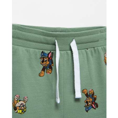 Брюки Paw Patrol