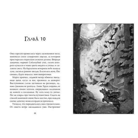 Книга АЗБУКА Рожденная огнем. Книга 1. Дюжина и Ледяной лес