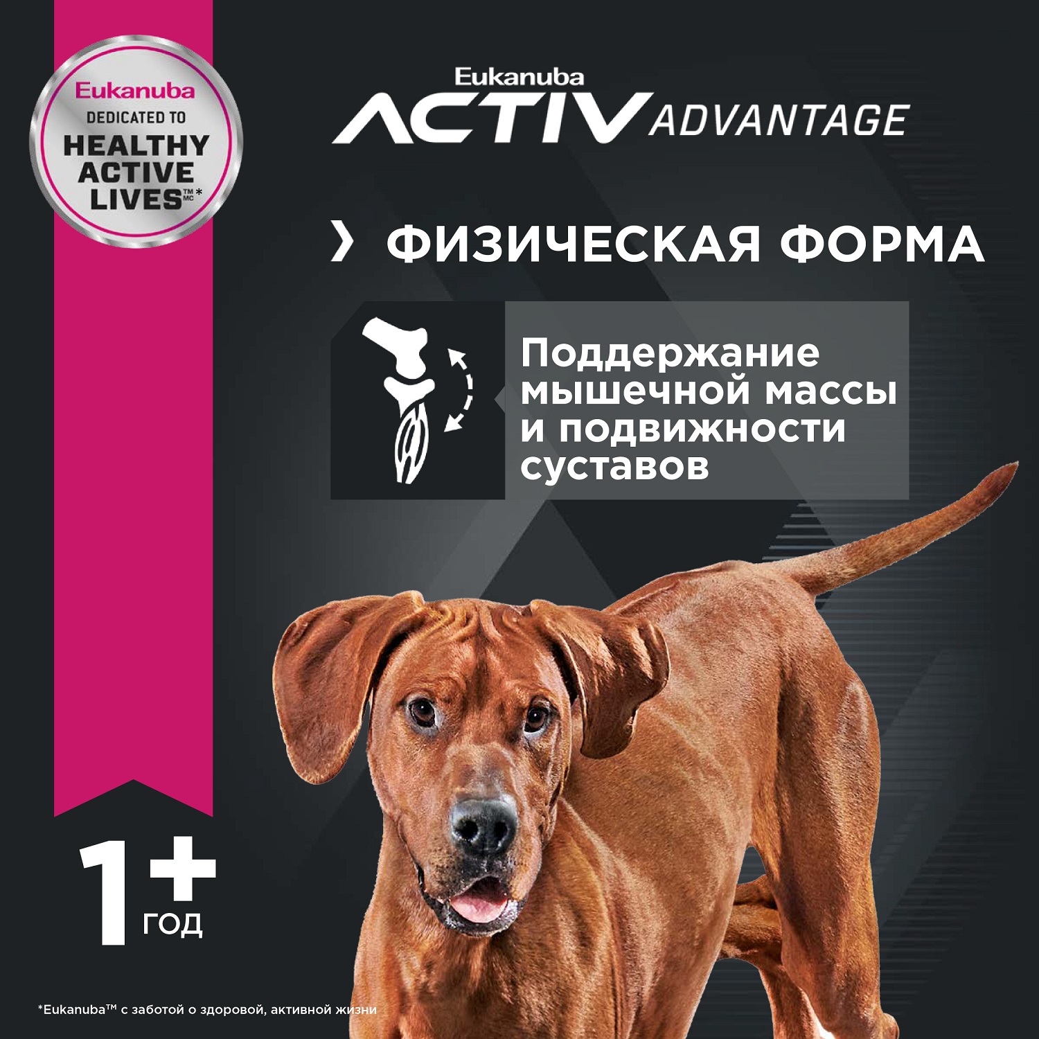 Корм для собак Eukanuba 2.5кг Dog с ягненком для взрослых крупных пород - фото 3