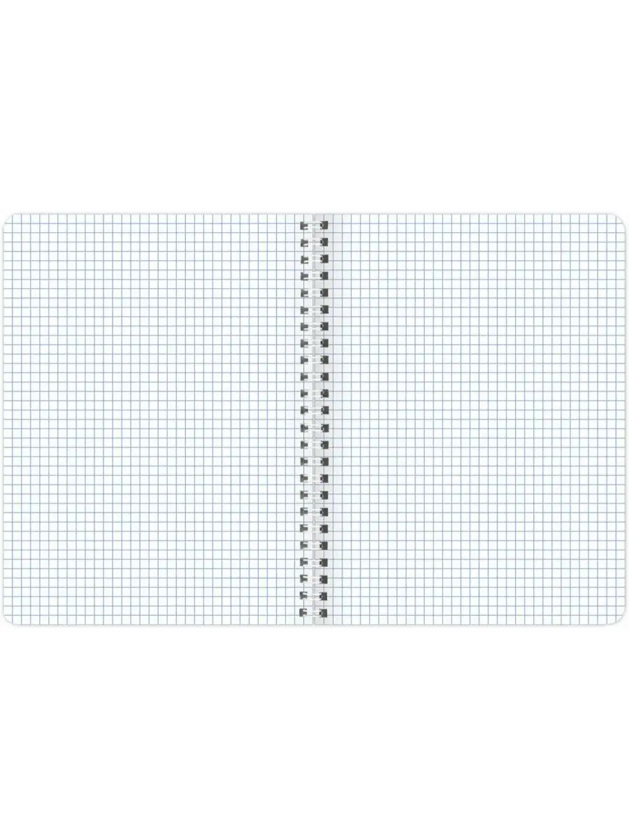 Тетрадь Brauberg клетка 96 лист. 4 шт. - фото 7