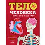 Книга Clever Тело человека и как оно работает