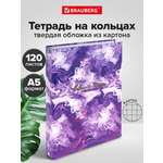 Тетрадь со сменным блоком Brauberg клетка 120 лист.